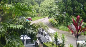 Green Retreat - Image 4