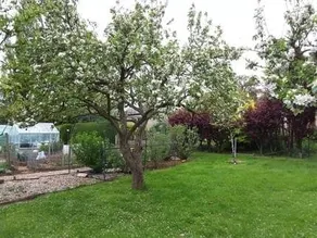 Glebe Farm Bed And Breakfast - Image 4