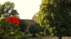 Studniska Horse Centrum - Image 2