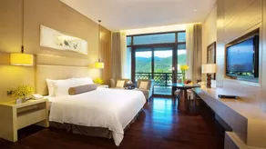 Wuyi Mountain Dahongpao Resort - Image 4
