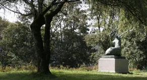 Schloß Wittgenstein - Image 3