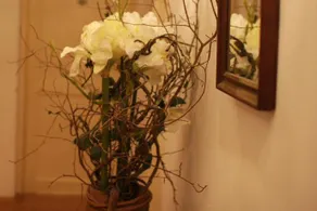 B&B Greiner - Image 4
