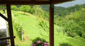 Stunning Mountain ECO-HOUSE "Pure Nature" for Rest and Recreation sorrounded by Nature - Image 3