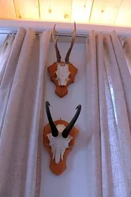 Hotel Albula - Image 4