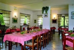 Pineta - Image 5