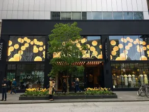 Bellamond Yorkville - Image 4