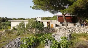Sans Souci - Image 5