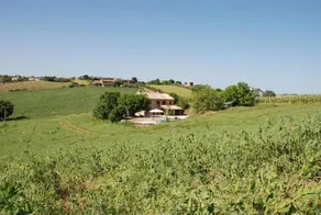 Profumo Delle Marche - Image 5