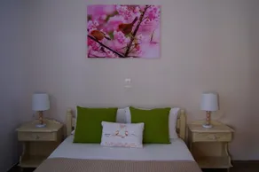 Stella Studios - Image 3