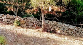 Villa Iremia - Image 4