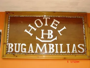 Bugambilias - Image 5
