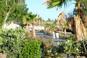 Les Dunes - Image 2