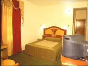 Hotel Himalayan Regency - Image 2