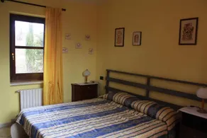 Lacero Campestre - Image 2