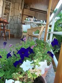 Munevver Abla Konuk Evi - Image 2