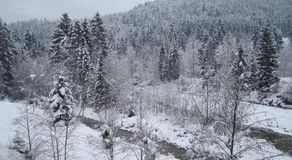 Loferblick - Image 4