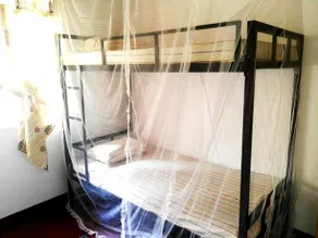 Budget Hostel29 - Image 5