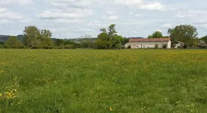 LA FERME DU NIZON - Image 2