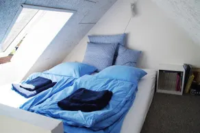 Aarhus bugtens Perle - Image 4
