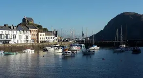 The Old Eclectick - Image 2
