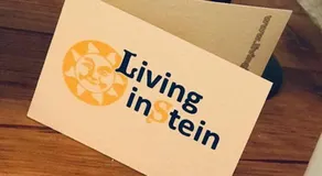Living inStein - Image 3