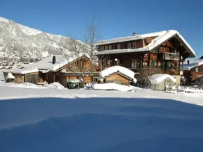 Bergdohle - Image 2