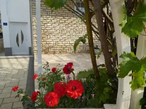 Apartments Bojanic - Image 5