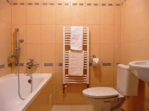 Hotel Pod Zelenou - Image 2