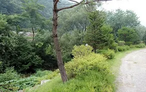 Gangchon Forest Story Pension - Image 4
