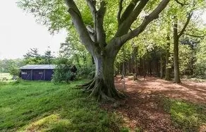 Het Wesselink - Image 1