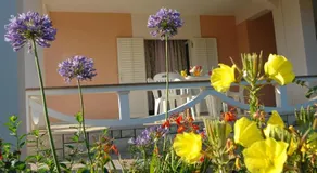 Apartments Danijela - Image 2