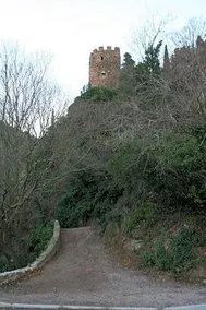 La Figuera - Image 3