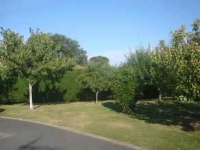Maison Lous Amics - Image 5