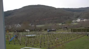 FEWO Klosterblick sowie Weinberge & Drachenflieger - Image 2