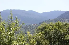 Ksenonas Fournas - Image 4