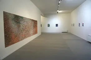 Sincresis - Image 3