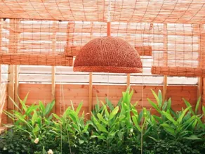 Zheng Xing Cafes B&B - Image 4