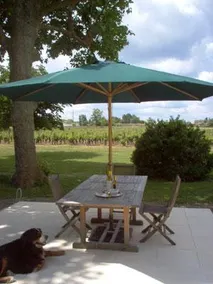 Château des Grandes Vignes - Image 3