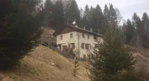 Maso Samaretz - Image 2