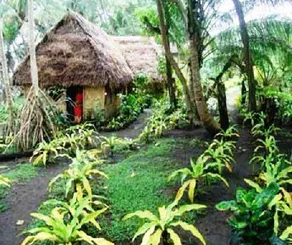 Sunrise Bungalows Tanna Island - Image 4