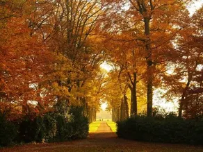 B&B Landgoed Hessum - Image 3