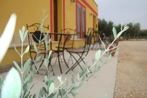 L'Agave - Image 2