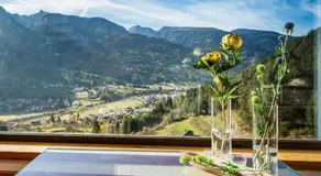 Luxury Wellness Paradise - Image 3