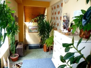Penzion Expo - Image 2