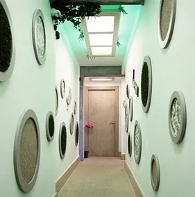 Blue Bird Suite - Image 2