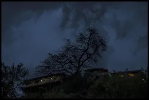 The Pine Palace - Image 2