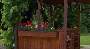 Gästehaus Riegler - Image 2