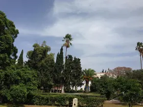 Les Palmiers Centre de Vacances - Image 3
