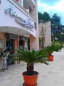 Harmony Palace Apartcomplex - Image 2