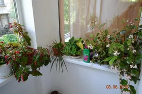 Mumin Apartment 1 - Image 2